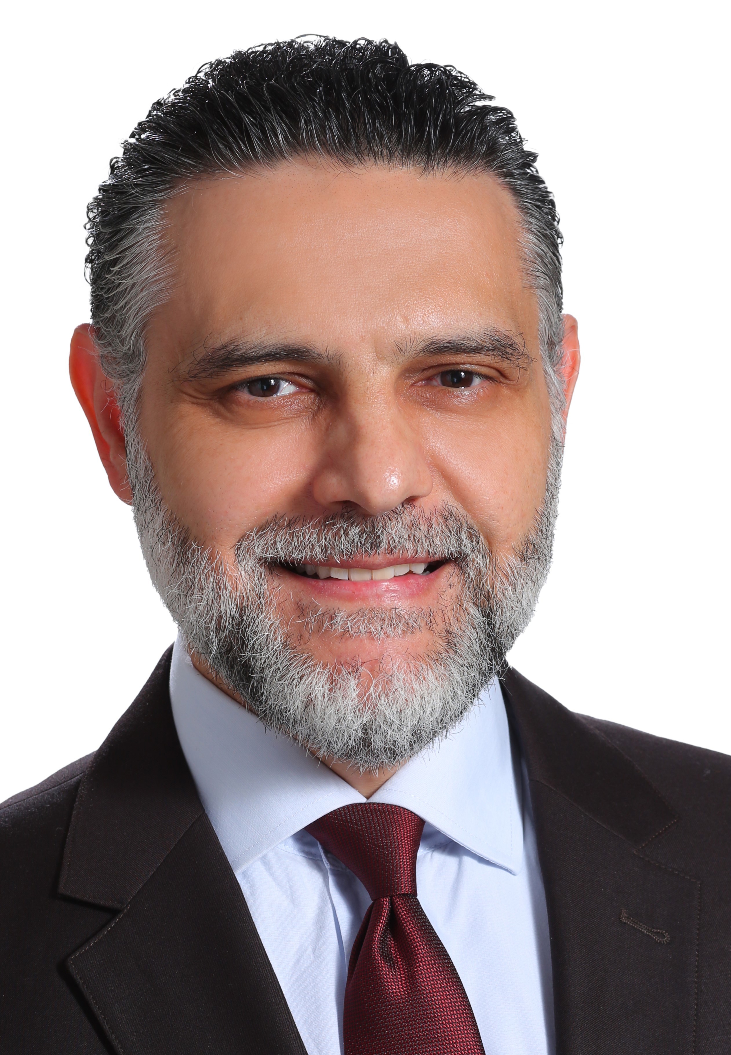 AlHamaydeh, Mohammad H.