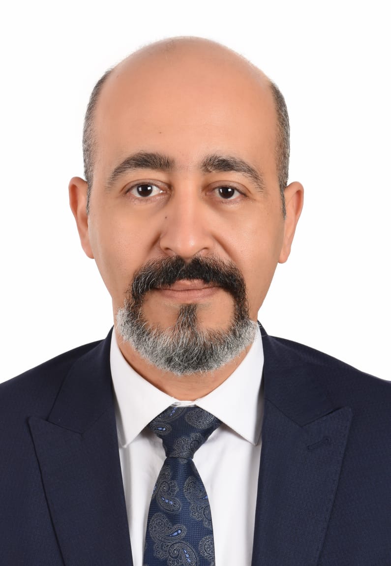 Hegazy, Mohamed Elamir F.
