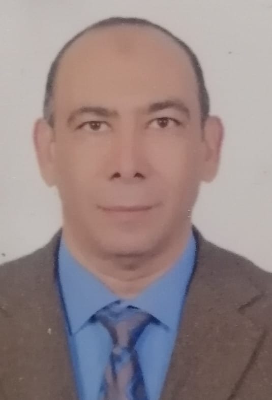 Alkafafy, Mohamed Elsayed