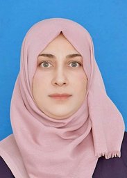 AL-Qaisi, S.