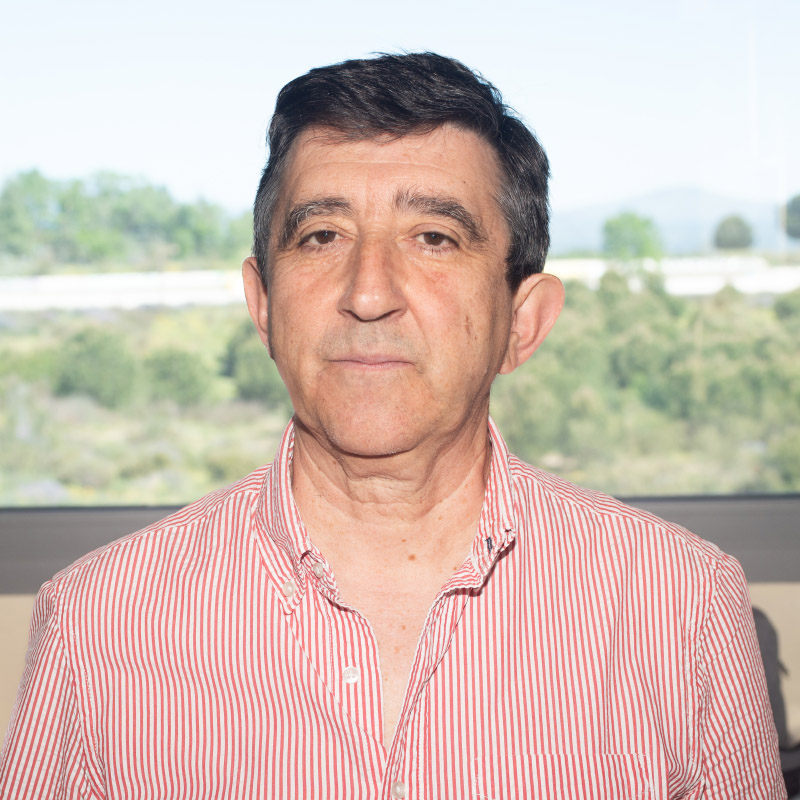Hernández, Félix