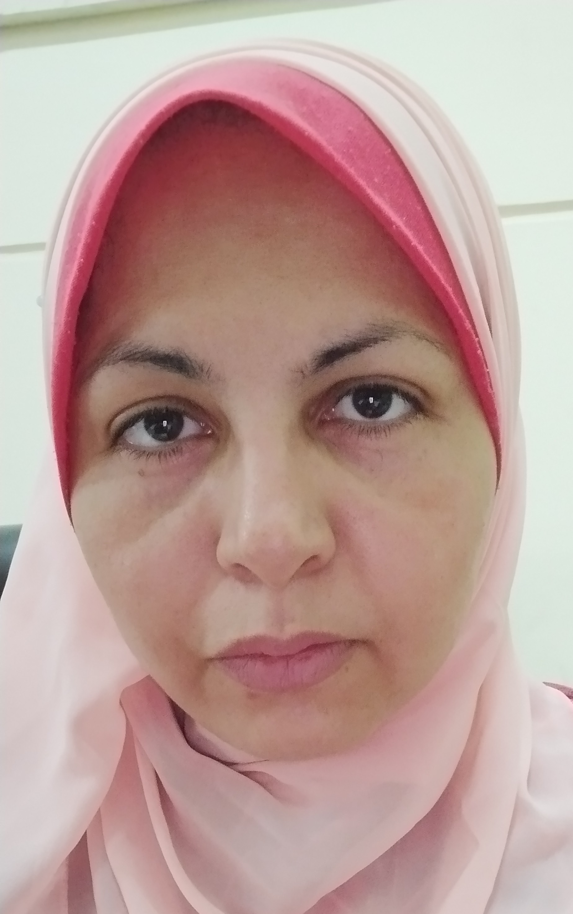 Mohamed, Hanan R.H.
