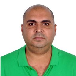 Mustafa, Hesham N.