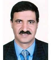Mohamed Hemida Abd-Alla 