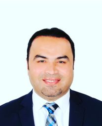 Walid Kamal Abdelbasset