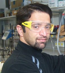 Prof Dr Wajid Rehman