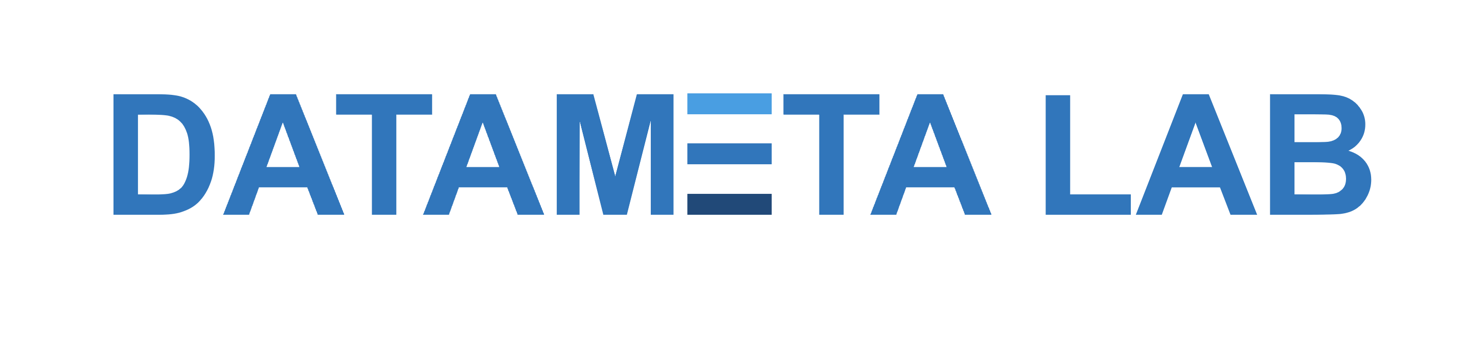 DataMeta Lab